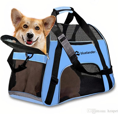 Bluelander Mochila Transportadora para Perro/Gato - Plegable Correa Base Acolchada