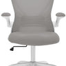 Bluelander Silla de Oficina Ergonómica con Altura Ajustable y Respaldo Alto (Gris, Negro)